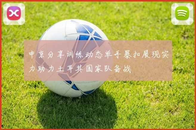 申京分享训练动态单手暴扣展现实力助力土耳其国家队备战