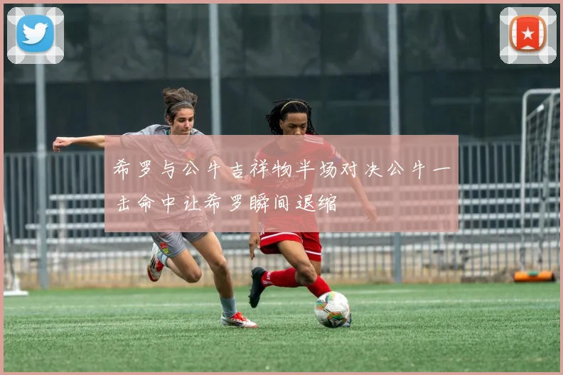 希罗与公牛吉祥物半场对决公牛一击命中让希罗瞬间退缩