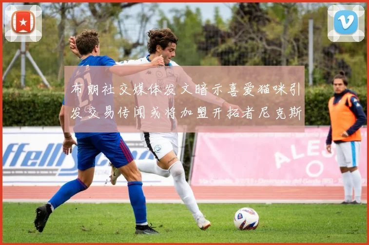 布朗社交媒体发文暗示喜爱猫咪引发交易传闻或将加盟开拓者尼克斯雷霆湖人